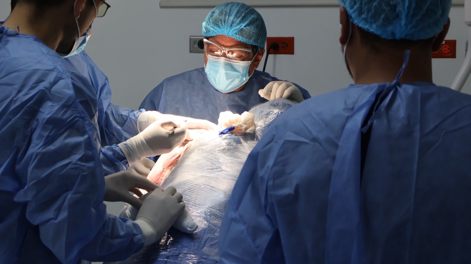Entrenamiento de simulación quirúrgica en CLEMI